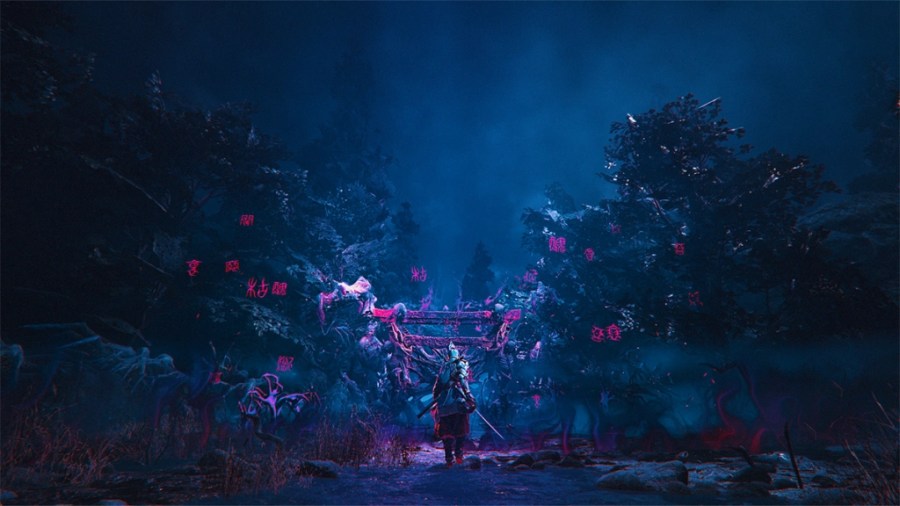 Street Fighter 6 và Kunitsu-Gami: Path of the Goddess lên Switch 2